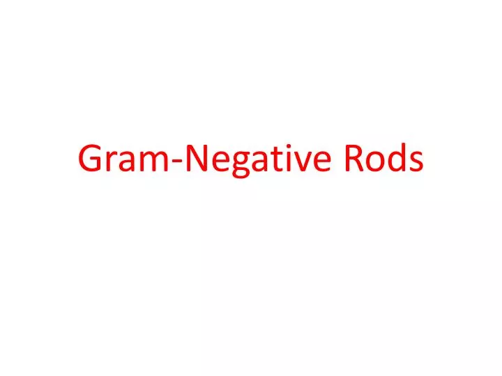 gram negative rods