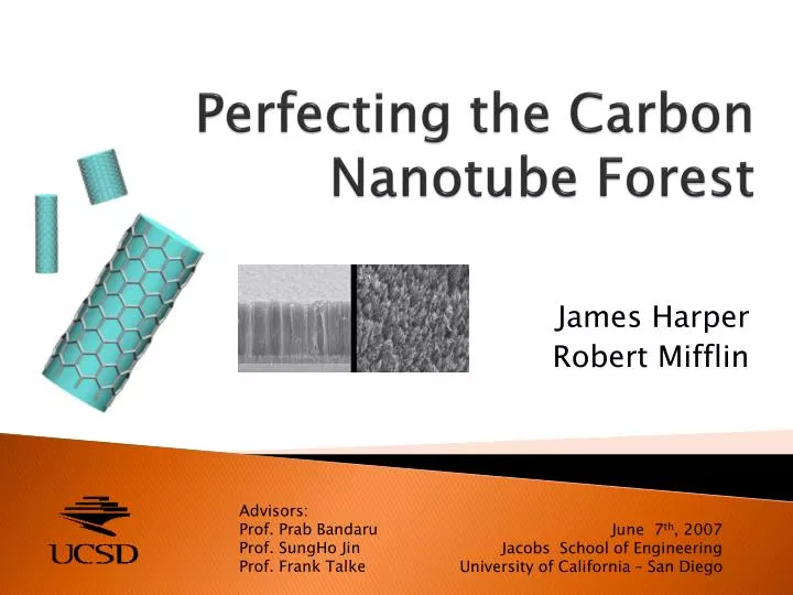 perfecting the carbon nanotube forest
