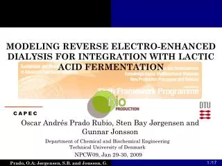 MODELING REVERSE ELECTRO-ENHANCED DIALYSIS FOR INTEGRATION WITH LACTIC ACID FERMENTATION