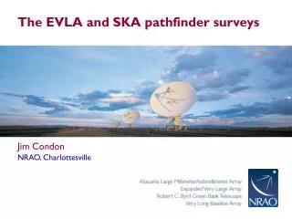 The EVLA and SKA pathfinder surveys