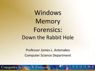 Windows Memory Forensics: Down the Rabbit Hole