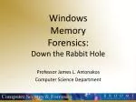 Windows Memory Forensics: Down the Rabbit Hole - slide 1
