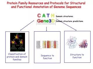 Classification of protein and domain families