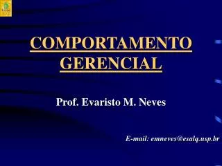 comportamento gerencial