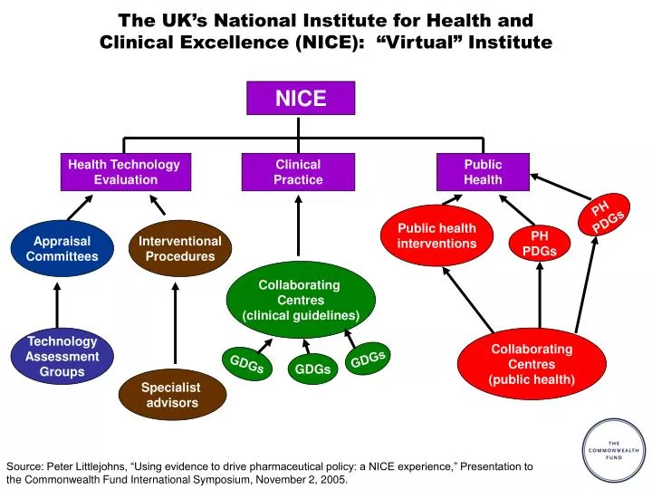 the uk s national institute for health and clinical excellence nice virtual institute