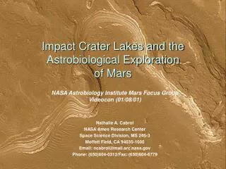 Impact Crater Lakes and the Astrobiological Exploration of Mars