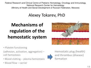 Mechanisms of regulation of the hemostatic system