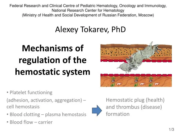 mechanisms of regulation of the hemostatic system