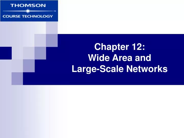chapter 12 wide area and large scale networks
