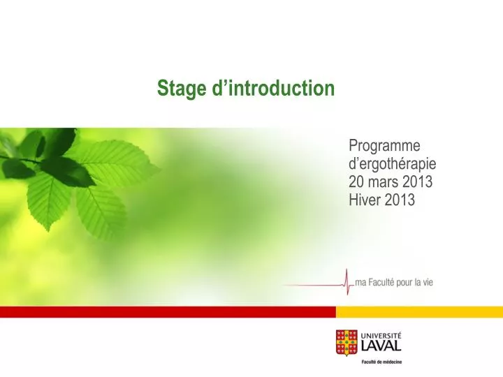 stage d introduction