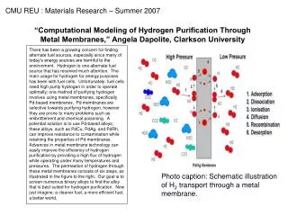 Photo caption: Schematic illustration of H 2 transport through a metal membrane.