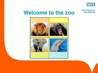 Welcome to the zoo