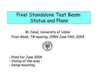 Pixel Standalone Test Beam: Status and Plans