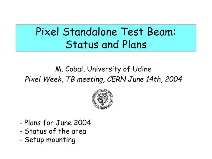 pixel standalone test beam status and plans