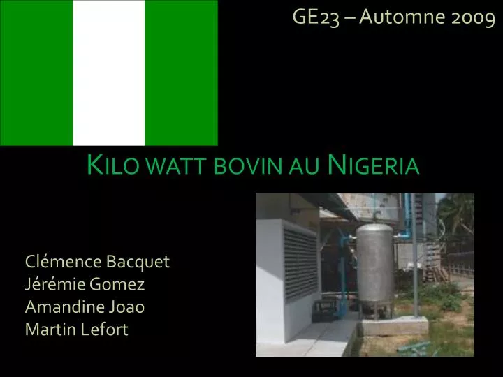 kilo watt bovin au nigeria