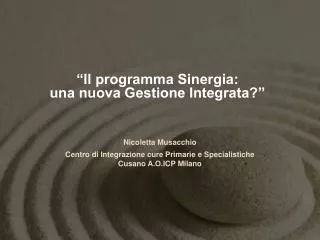 il programma sinergia una nuova gestione integrata