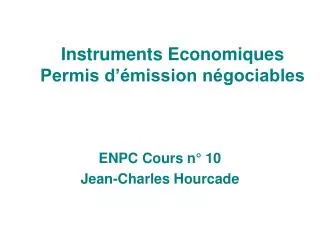 instruments economiques permis d mission n gociables