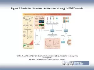 Figure 3 Predictive biomarker development strategy in PDTX models