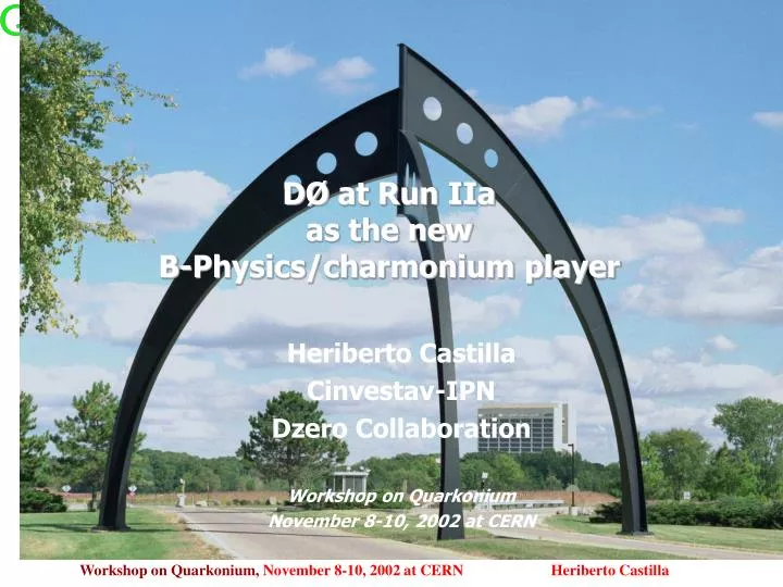 d at run iia as the new b physics charmonium player