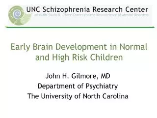 Early Brain Development in Normal and High Risk Children