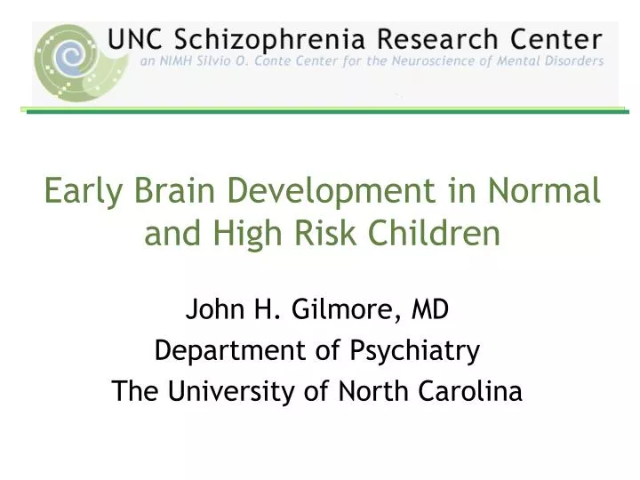 early brain development in normal and high risk children
