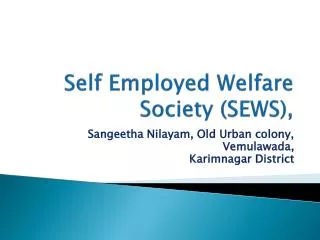 Self Employed Welfare Society (SEWS),