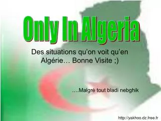 des situations qu on voit qu en alg rie bonne visite