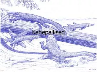 kahepaiksed