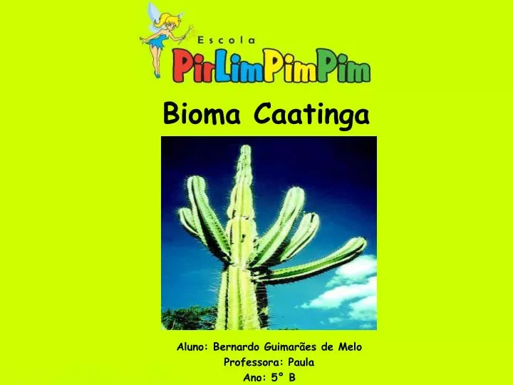 bioma caatinga