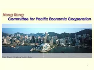 Pacific Economic Cooperation Committee (PECC)