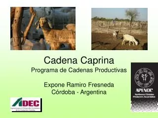 cadena caprina