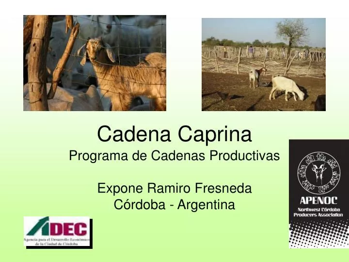 cadena caprina