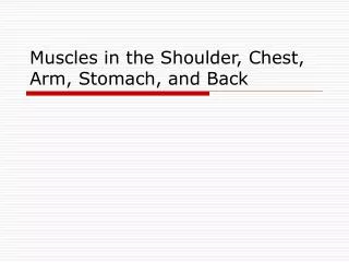 Muscles in the Shoulder, Chest, Arm, Stomach, and Back