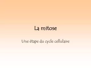 la mitose
