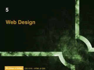 5 Web Design