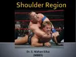 Shoulder Region - slide 1