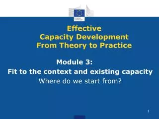 Effective Capacity Development From Theory to Practice