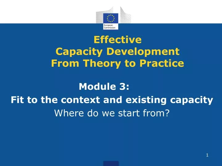 effective capacity development from theory to practice