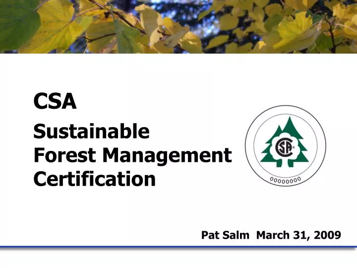 csa sustainable forest management certification pat salm march 31 2009