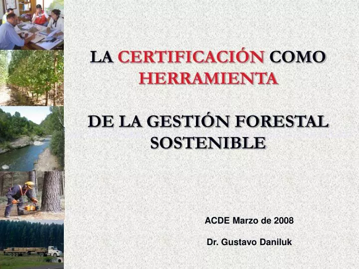 la certificaci n como herramienta de la gesti n forestal sostenible
