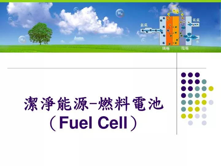 fuel cell