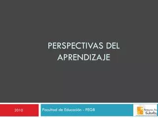 perspectivas del aprendizaje