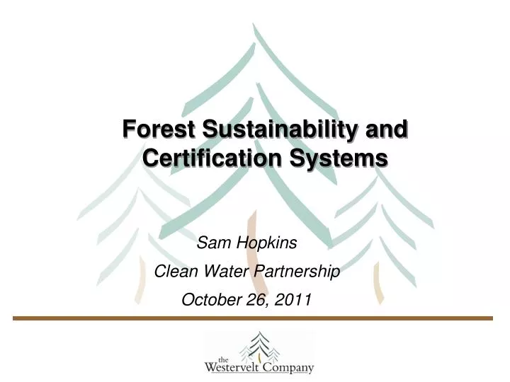 forest sustainability and certification systems