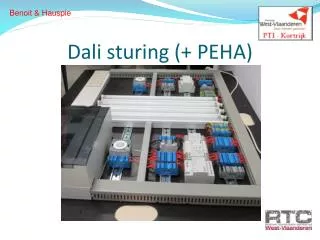 dali sturing peha