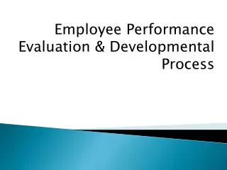 Employee Performance Evaluation &amp; Developmental Process