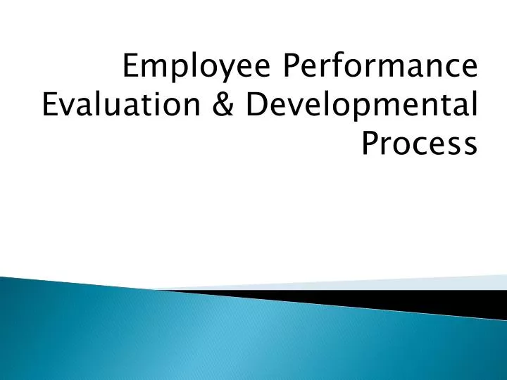 employee performance evaluation developmental process