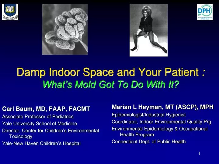 damp indoor space and your patient what s mold got to do with it
