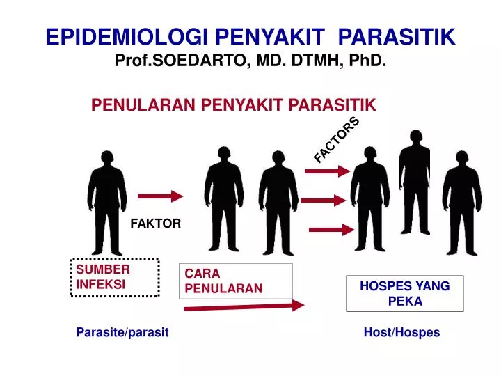epidemiolog i penyakit parasiti k prof soedarto md dtmh phd
