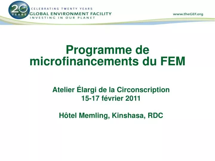 programme de microfinancements du fem