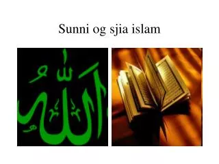 sunni og sjia islam